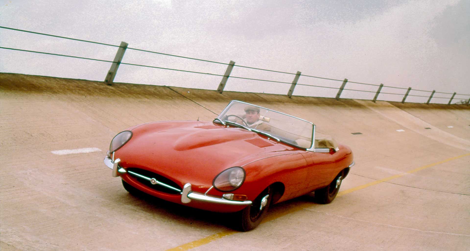 Dewis 113